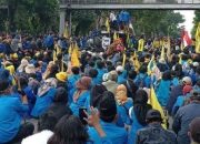 Negara Bakal Babat Hutan 20 Juta Hektar, PB PMII Beri Respon!!