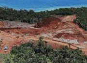 Pemerintah Resmi Terbitkan Peraturan Presiden untuk Penertiban Kawasan Hutan Mulai Januari 2025