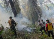 Hotspot Karhutla di Kutim Menurun, Luas Lahan Terbakar Capai 68,3 Hektare