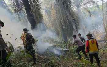 Hotspot Karhutla di Kutim Menurun, Luas Lahan Terbakar Capai 68,3 Hektare