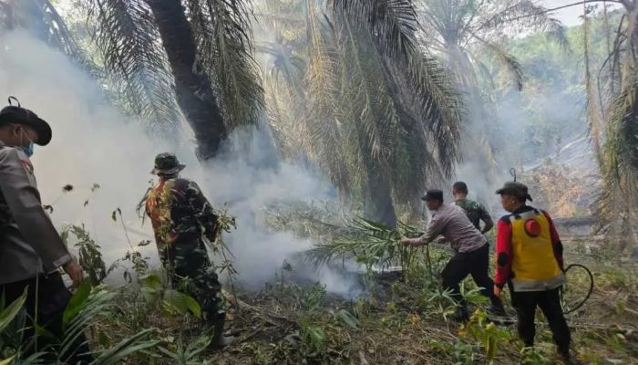Hotspot Karhutla di Kutim Menurun, Luas Lahan Terbakar Capai 68,3 Hektare