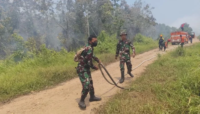 Pantau Hotspot hingga Koramil, Kodim 0909/KTM Perkuat Penanganan Karhutla