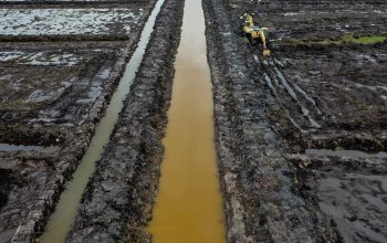 Program Cetak Sawah dan Hilirisasi Pangan: Strategi  Pemkab Kutai Timur Capai Target Swasembada Beras