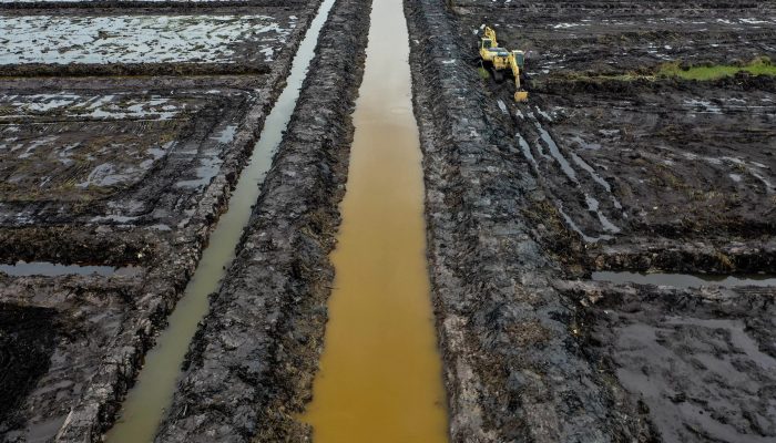 Program Cetak Sawah dan Hilirisasi Pangan: Strategi  Pemkab Kutai Timur Capai Target Swasembada Beras