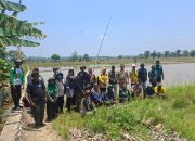 Demplot pertanian modern di Desa Sesulu