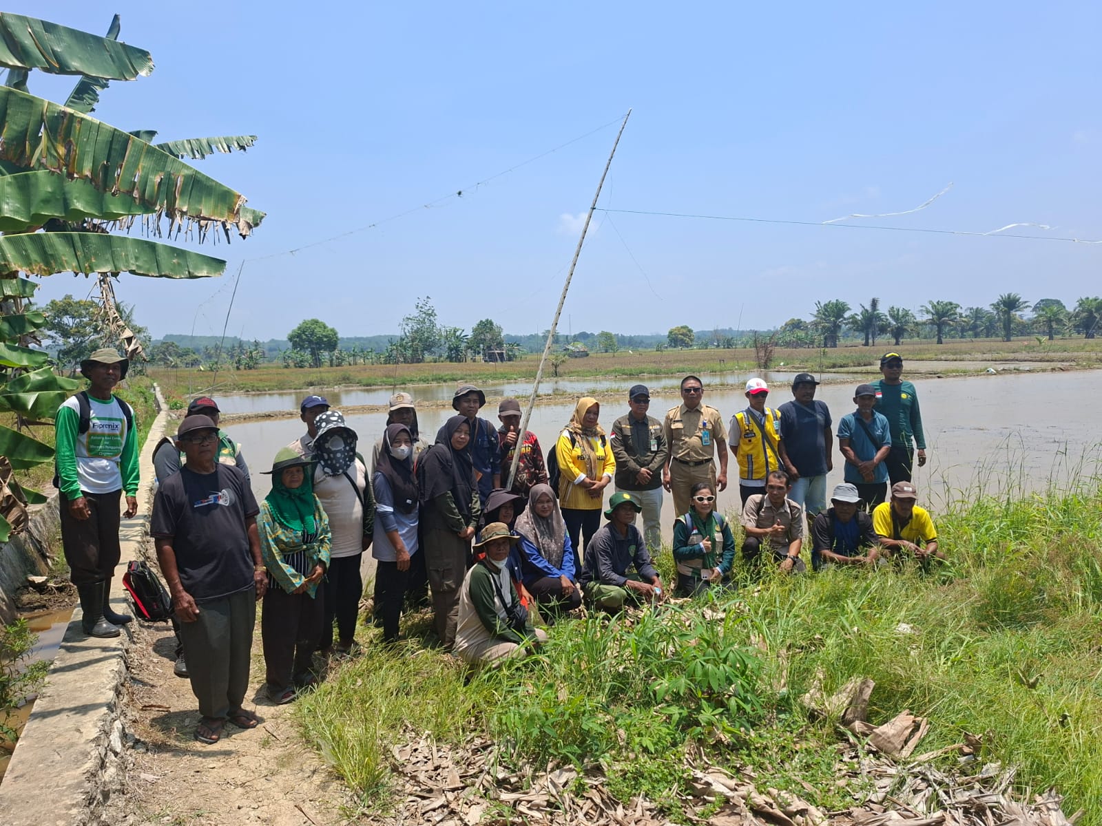 Demplot pertanian modern di Desa Sesulu