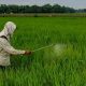 Distan PPU Sesuaikan Bantuan Herbisida demi Penuhi Kebutuhan Riil Petani