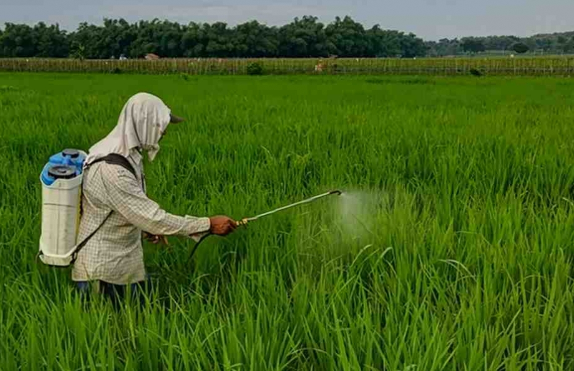 Distan PPU melakukan penyesuaian rencana bantuan herbisida berdasarkan hasil identifikasi di lapangan