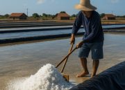 Dinas Perikanan PPU Uji Coba Garam Lokal Berteknologi HDPE