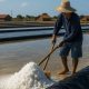 Melimpahnya pasokan air laut di sepanjang wilayah pesisir Kabupaten PPU memicu terobosan baru di bidang ekonomi kreatif kelautan