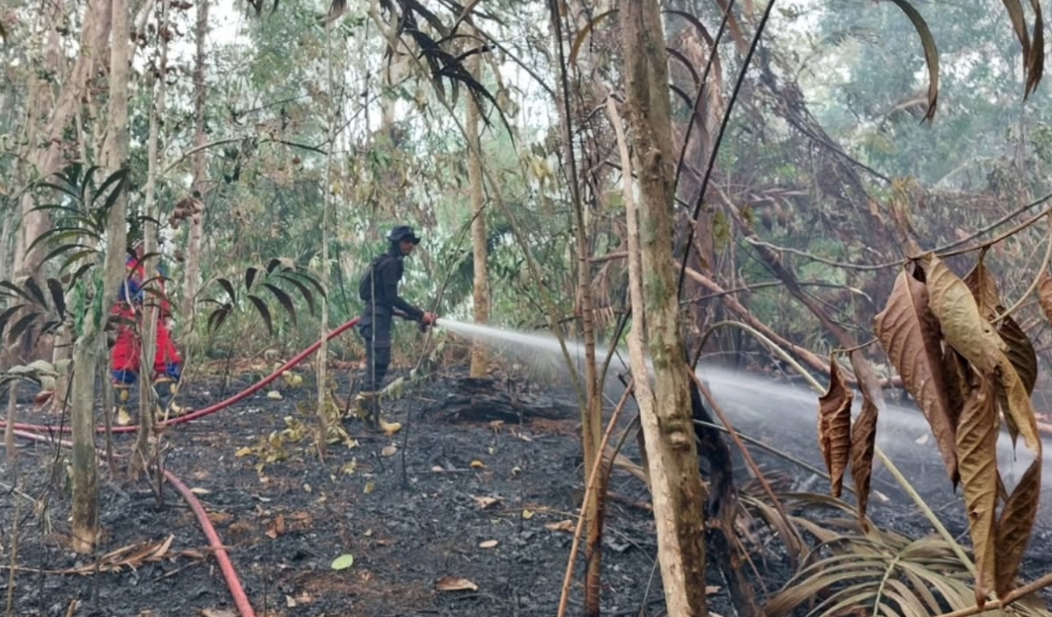 Maraknya praktik pembukaan lahan dengan cara dibakar dipadu dengan cuaca ekstrem musim kemarau memicu maraknya bencana karhutla di Kabupaten PPU