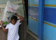 Sektor pertanian di Kabupaten PPU terus mendapatkan perhatian serius dari pemerintah daerah dalam hal ketersediaan sarana produksi utama
