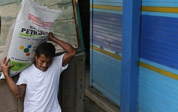 Sektor pertanian di Kabupaten PPU terus mendapatkan perhatian serius dari pemerintah daerah dalam hal ketersediaan sarana produksi utama