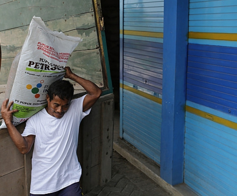 Sektor pertanian di Kabupaten PPU terus mendapatkan perhatian serius dari pemerintah daerah dalam hal ketersediaan sarana produksi utama